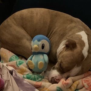 Meet your Posher, Mia